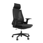 Dreams Modern Ergonomic Chair