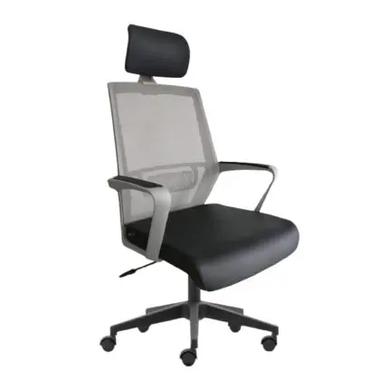 Dreams Rainco Ergonomic Mesh Chair Ash