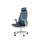 Dreams adjustable lumbar support and seat, headrest Mesh backrest, Ergonomic Chair