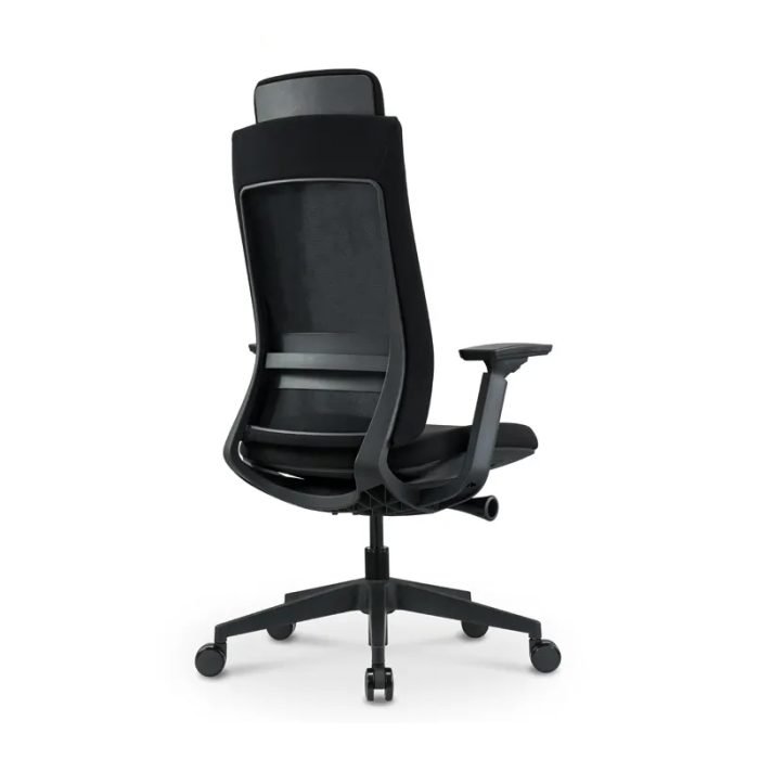 Dreams Venture Mechanism Ergonomic Office Chair-Black