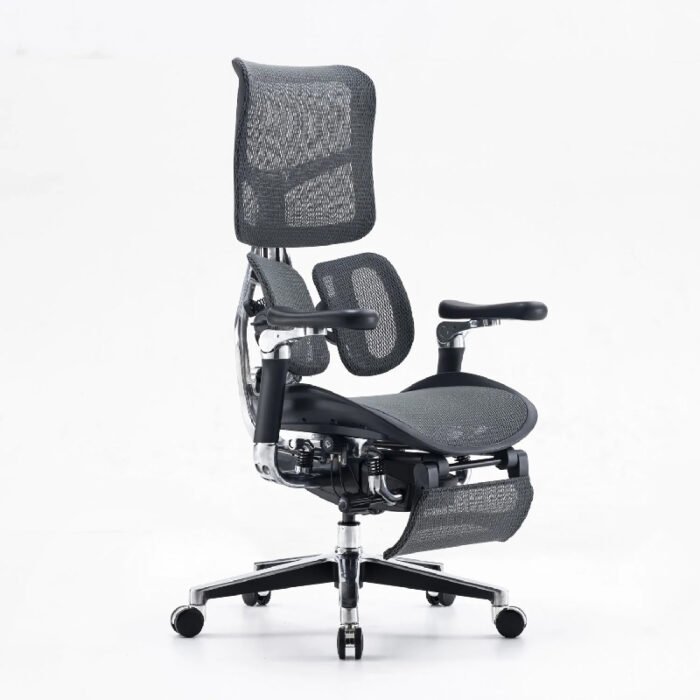 Dreams Exel Multifunctional Ergonomic Chair
