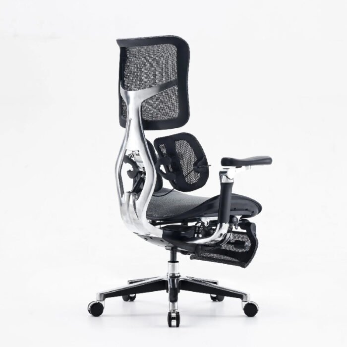 Dreams Exel Multifunctional Ergonomic Chair Back Side