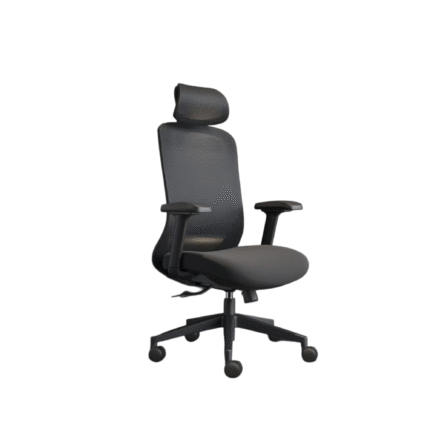 Dreams Ergonomic Chair