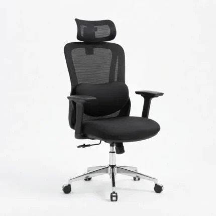 Dreams Ergonomic Chair