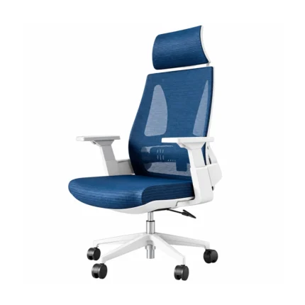 Dreams Ergonomic Chair